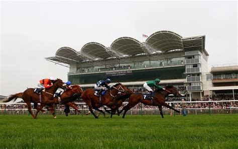newmarket placepot